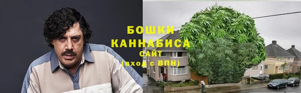 синтетический гашиш Богородицк